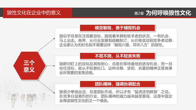 企业文化狼性精神培训PPT模板_第11页PPT效果图