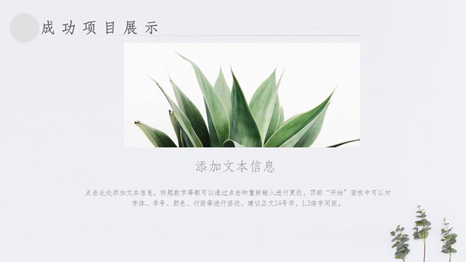 简约淡雅清新植物通用PPT模板_第15页PPT效果图