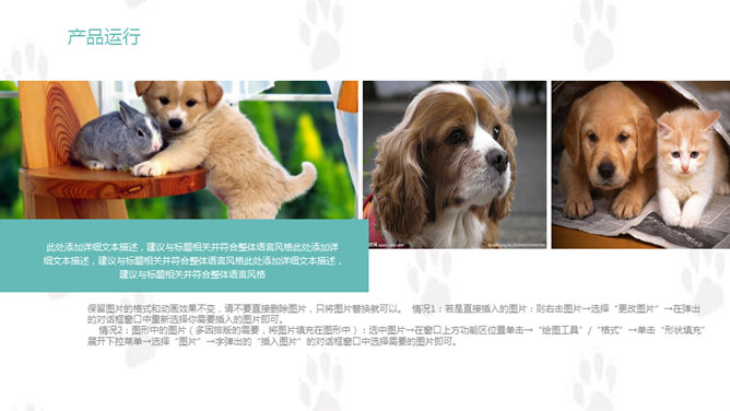 宠物狗狗可爱萌宠PPT模板_第9页PPT效果图