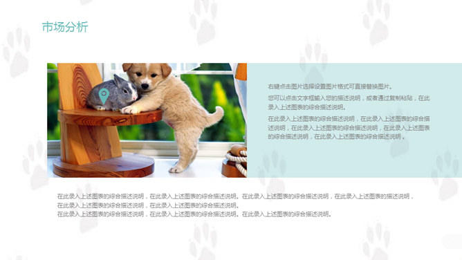 宠物狗狗可爱萌宠PPT模板_第12页PPT效果图