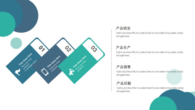 圆圈泡泡工作汇报PPT模板_第5页PPT效果图