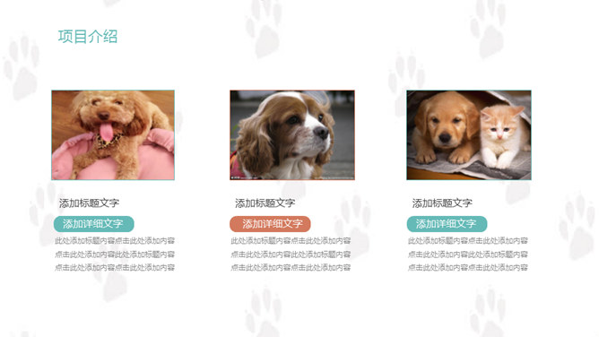 宠物狗狗可爱萌宠PPT模板_第4页PPT效果图