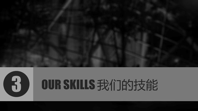 商务动态公司介绍PPT模板_第10页PPT效果图