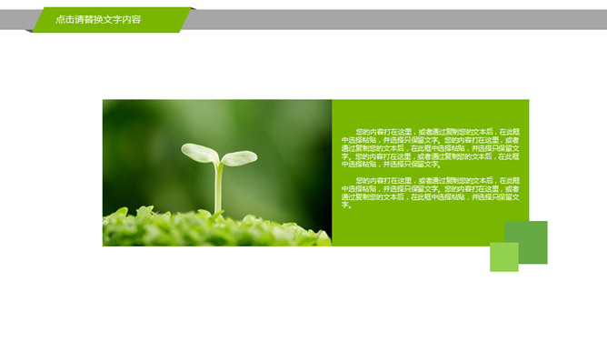 幼苗发芽绿色植物PPT模板_第3页PPT效果图