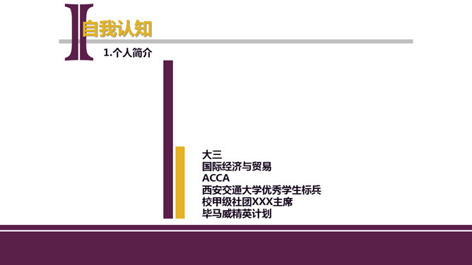 大学生个人职业规划PPT模板_第3页PPT效果图