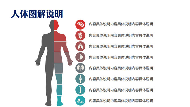 医学医疗图表图标PPT素材包_第1页PPT效果图