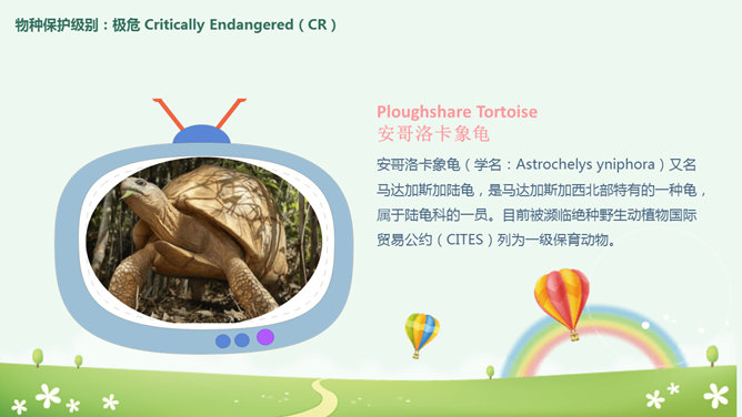 卡通世界动物日介绍PPT模板_第9页PPT效果图