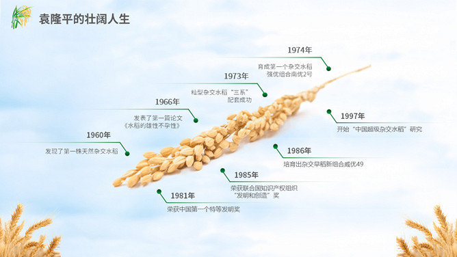 缅怀杂交水稻之父袁隆平PPT模板_第4页PPT效果图