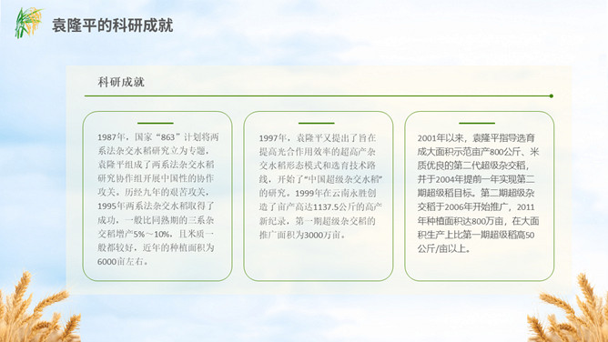 缅怀杂交水稻之父袁隆平PPT模板_第7页PPT效果图