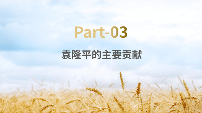 缅怀杂交水稻之父袁隆平PPT模板_第9页PPT效果图