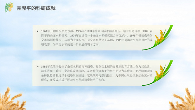 缅怀杂交水稻之父袁隆平PPT模板_第6页PPT效果图